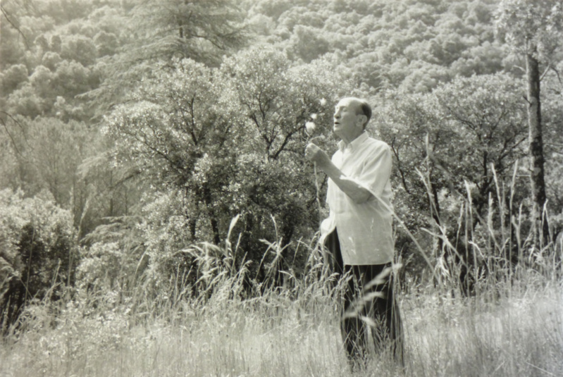 Conférence histoire civilisation vendredi 29 janvier 2021 Conférence histoire civilisation vendredi 29 janvier 2021