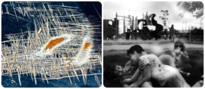 Exposition de photos du 14 octobre au 18 novembre 2022 Exposition de photos du 14 octobre au 18 novembre 2022