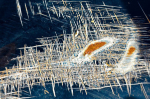 Exposition de photos du 14 octobre au 18 novembre 2022 Exposition de photos du 14 octobre au 18 novembre 2022