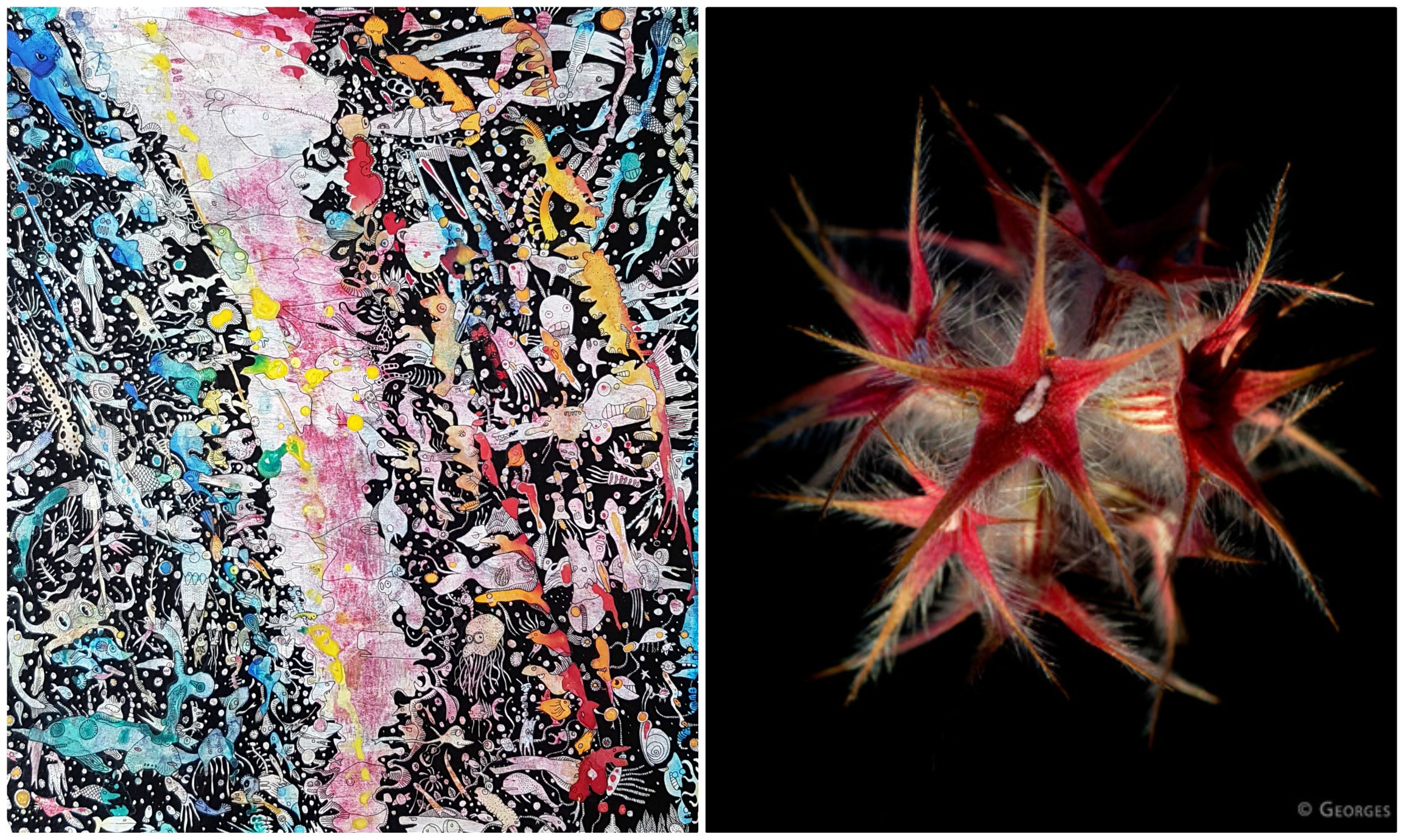 Exposition de dessins, peintures et photographies du 04 septembre au 02 octobre 2020