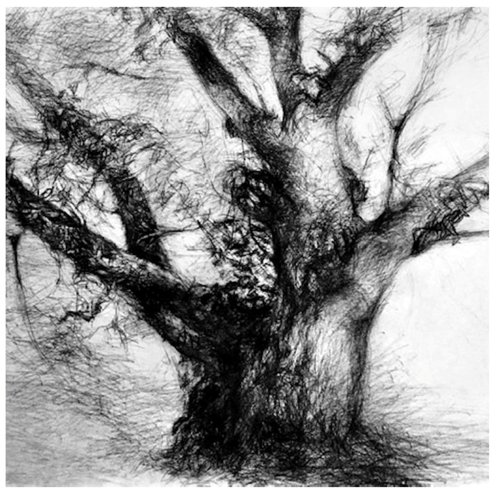 Exposition de dessins et de peintures du 02 septembre au 07 octobre 2022