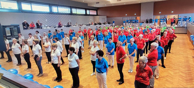 AIN : JOURNÉE DÉPARTEMENTALE DE LA DANSE AIN : JOURNÉE DÉPARTEMENTALE DE LA DANSE