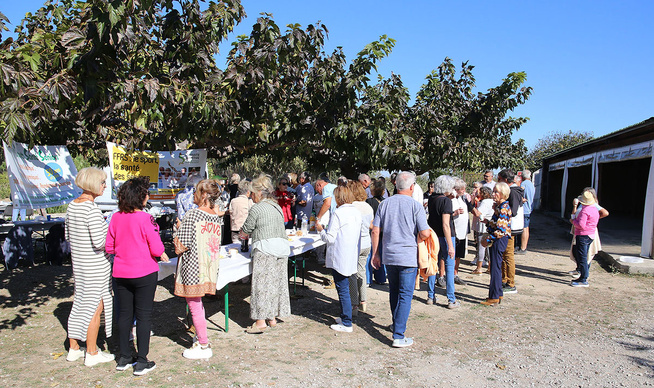 REPAS DE BIENVENUE À P3S (PALAVAS) REPAS DE BIENVENUE À P3S (PALAVAS)