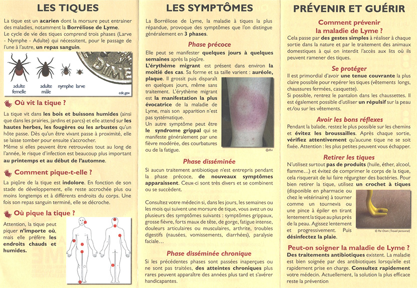 TIQUES : ADOPTEZ LES BONS GESTES