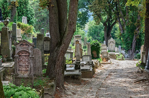 ​Habiter près… d’un cimetière