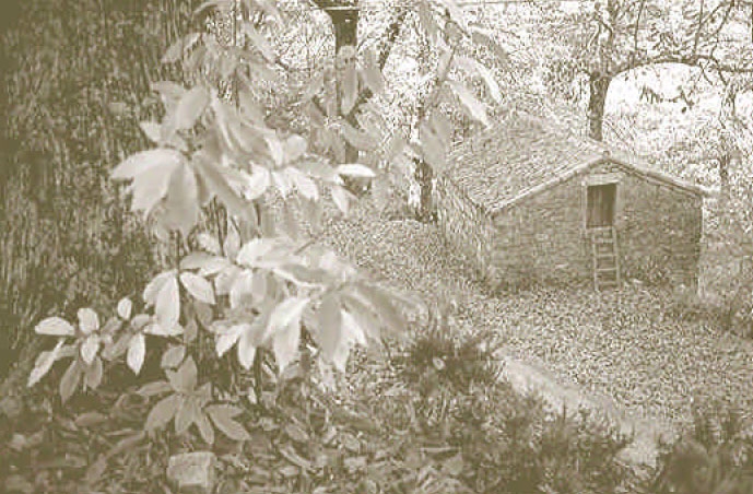 U catarru e u ragnu U catarru e u ragnu