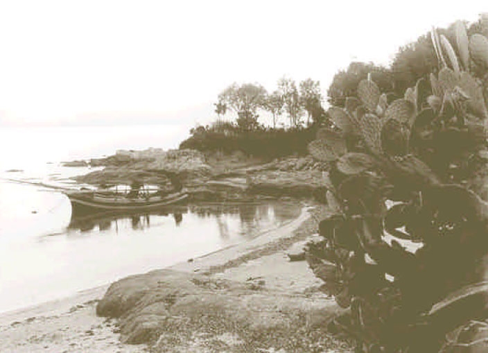 U piscadore riisciutu U piscadore riisciutu