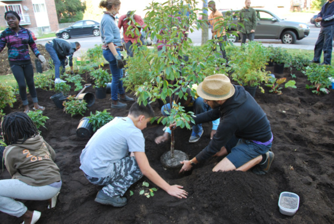 Vergers urbains, vers une ville comestible Vergers urbains, vers une ville comestible