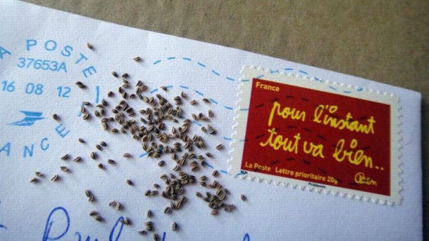 En troquant des graines sur le net, ils défient l'industrie des semences