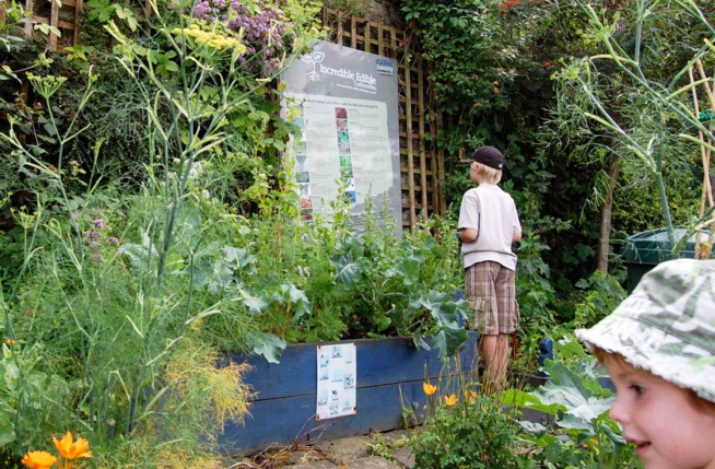 Lancer les incroyables comestibles dans sa ville ou village : la méthode