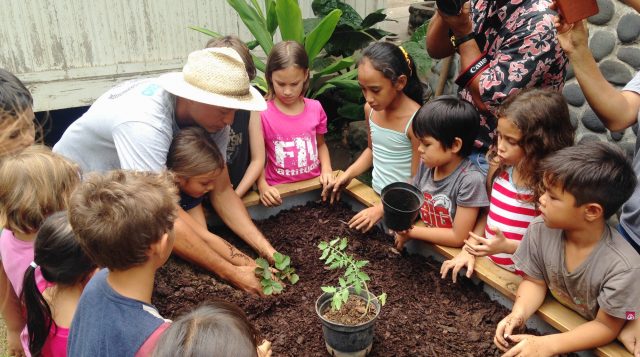 Des kits potagers dans les écoles pour apprendre à mieux manger