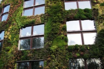 L’agriculture urbaine se développe à Paris