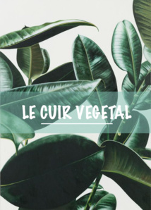 L’économie circulaire du cuir végétal L’économie circulaire du cuir végétal