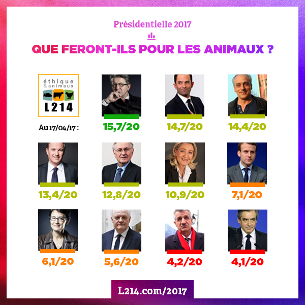 La question animale entre en politique !