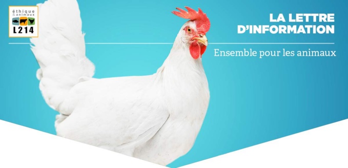 Ensemble, nous changeons les pratiques de l’industrie agroalimentaire ! Ensemble, nous changeons les pratiques de l’industrie agroalimentaire !