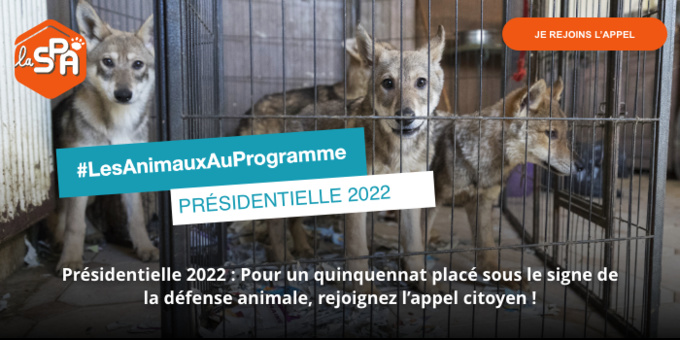 Les Animaux au programme Les Animaux au programme