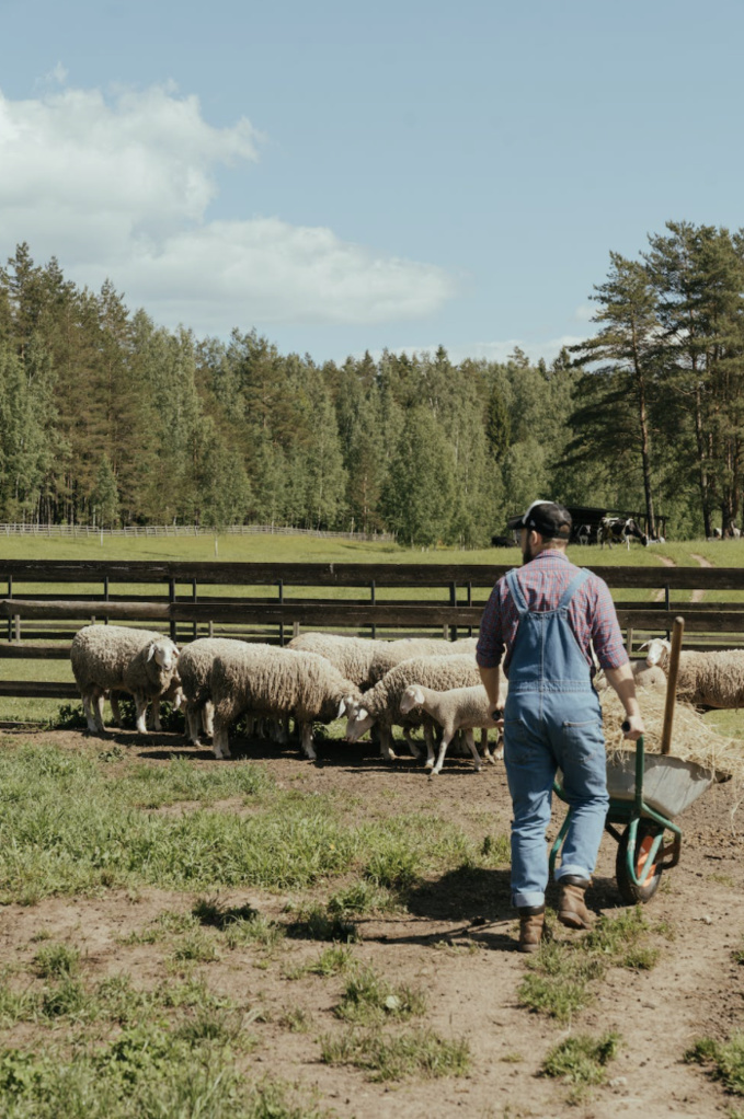 CETTE FERME ACCUEILLE DES ANIMAUX HANDICAPÉS ET ABANDONNÉS
