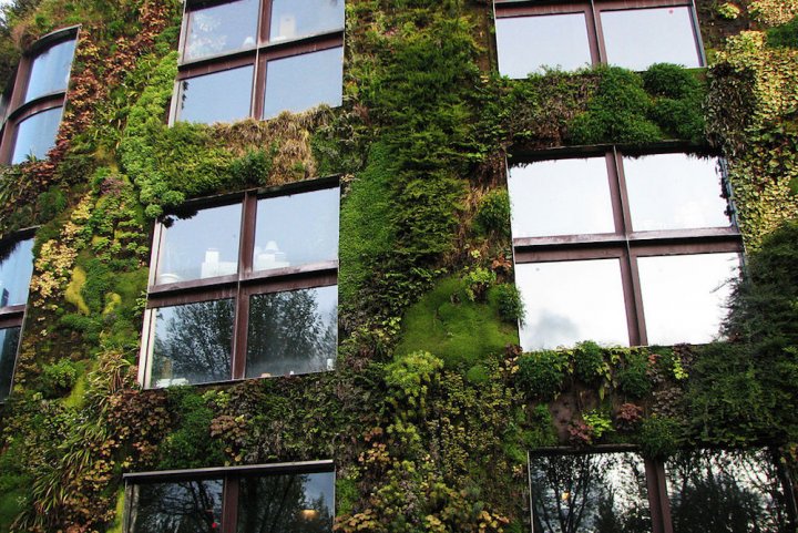 L’agriculture urbaine se développe à Paris