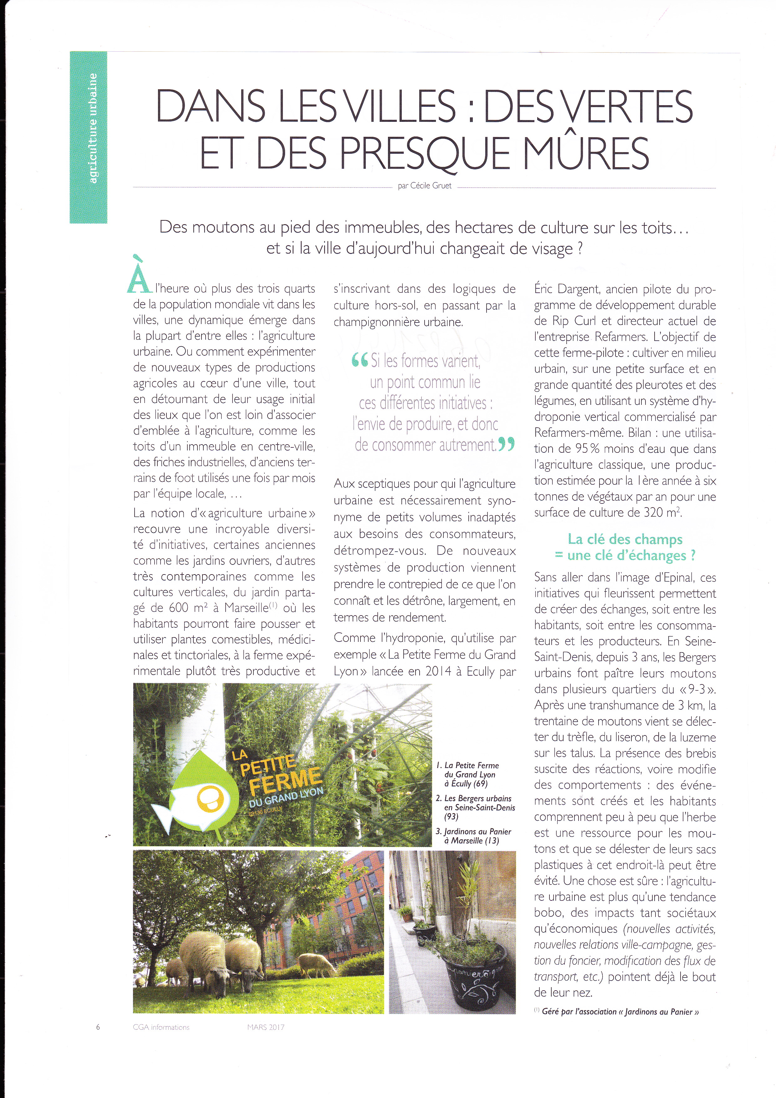 Dans les villes des vertes et des presque mûres