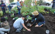 Vergers urbains, vers une ville comestible