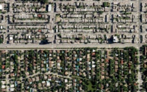 Face à la canicule, en ville, les arbres sont la meilleure parade