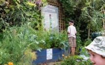 Lancer les incroyables comestibles dans sa ville ou village : la méthode