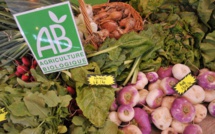 En IDF, Les Républicains asphyxient l’agriculture biologique