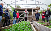 Permaculture dans l’Eure: bel et bon Bec-Hellouin