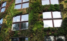 L’agriculture urbaine se développe à Paris