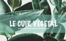 L’économie circulaire du cuir végétal