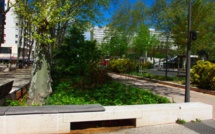 Eaux pluviales, Lyon choisit la perméabilité