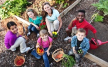 Verdissement des cours d’école : programme de financement pour les écoles publiques