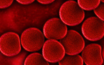 LE SANG DES VÉGÉTALIENS SERAIT HUIT FOIS PLUS PROTECTEUR CONTRE LE CANCER