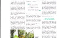 Dans les villes des vertes et des presque mûres