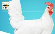 Ensemble, nous changeons les pratiques de l’industrie agroalimentaire !