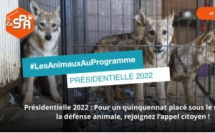 Les Animaux au programme