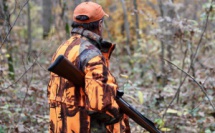 Dans une commune des Vosges, la chasse est désormais interdite le dimanche après-midi