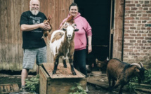 Cette association sauve des milliers d’animaux de l’abattoir et les propose à l’adoption