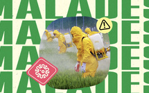 Pétition : Quand le productivisme menace la santé et la planète