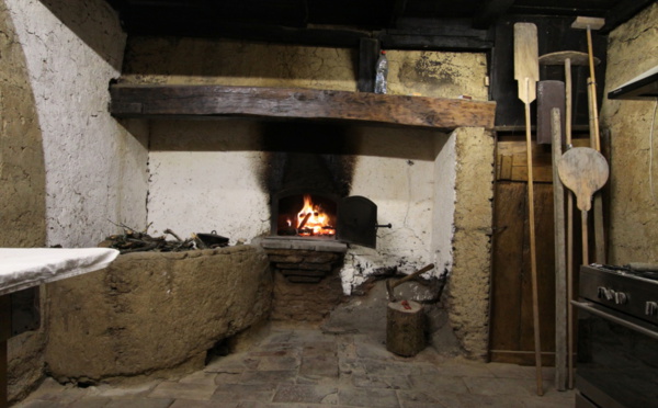 FESTI BIO 17 NOVEMBRE 2013