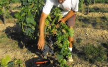 CONCOURS BIODIVERSITE