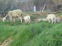 IMG_0035 - Copie IMG_0035 - Copie