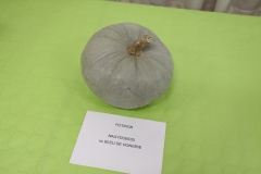 Faudoas015 Faudoas015