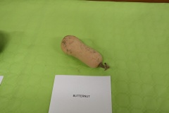 Faudoas021 Faudoas021