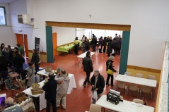 Faudoas052 Faudoas052