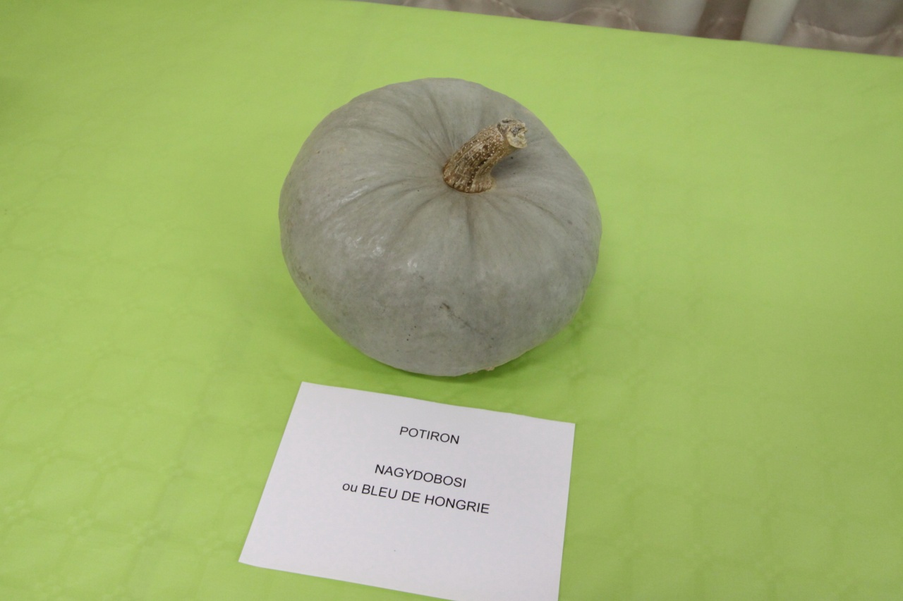 Faudoas015 Faudoas015