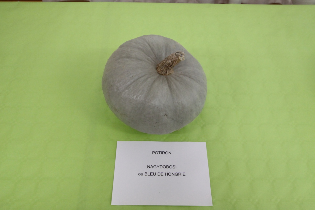 Faudoas016 Faudoas016