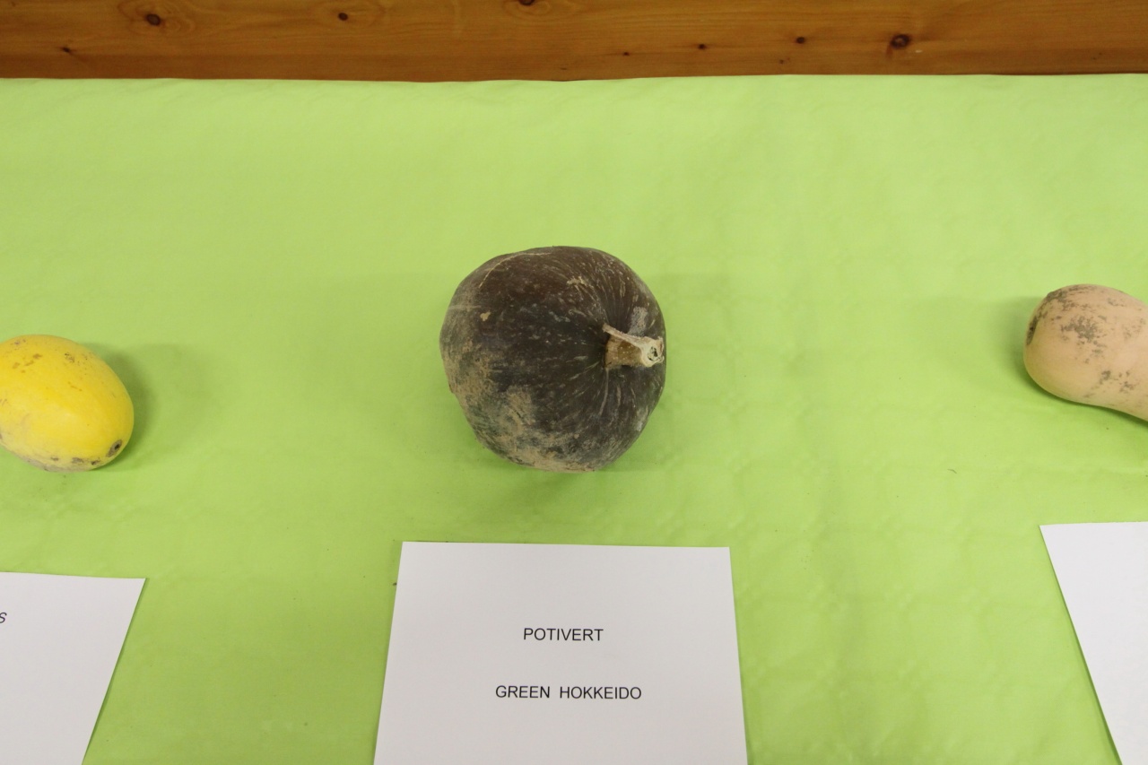 Faudoas022 Faudoas022