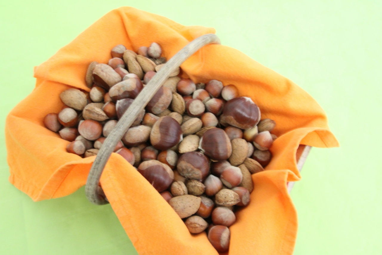 Faudoas026 Faudoas026