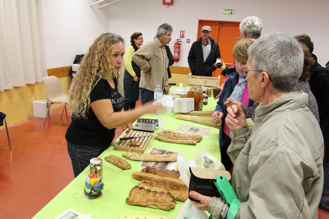 Faudoas059 Faudoas059